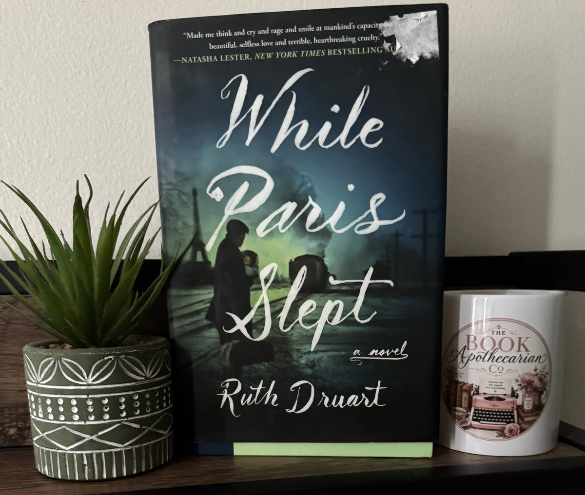 While Paris Slept by Ruth Druart