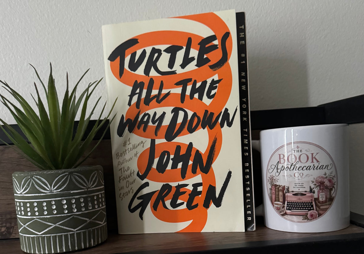 Turtles All the Way Down (Paperback)